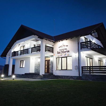 Pensiunea Conacul Lui Horia Bistriţa Dış mekan fotoğraf