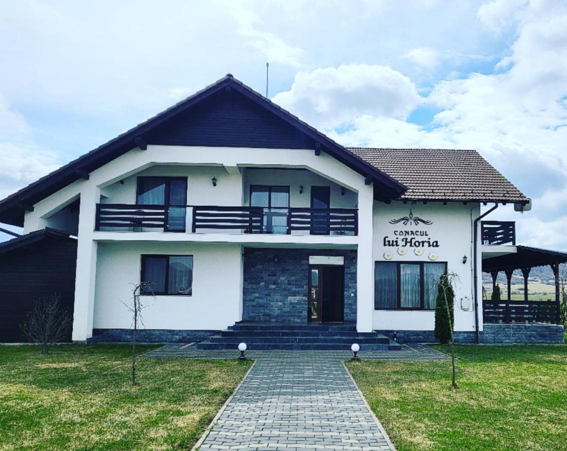 Pensiunea Conacul Lui Horia Bistriţa Dış mekan fotoğraf