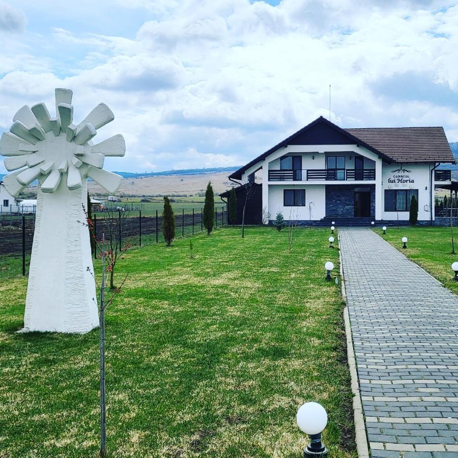 Pensiunea Conacul Lui Horia Bistriţa Dış mekan fotoğraf