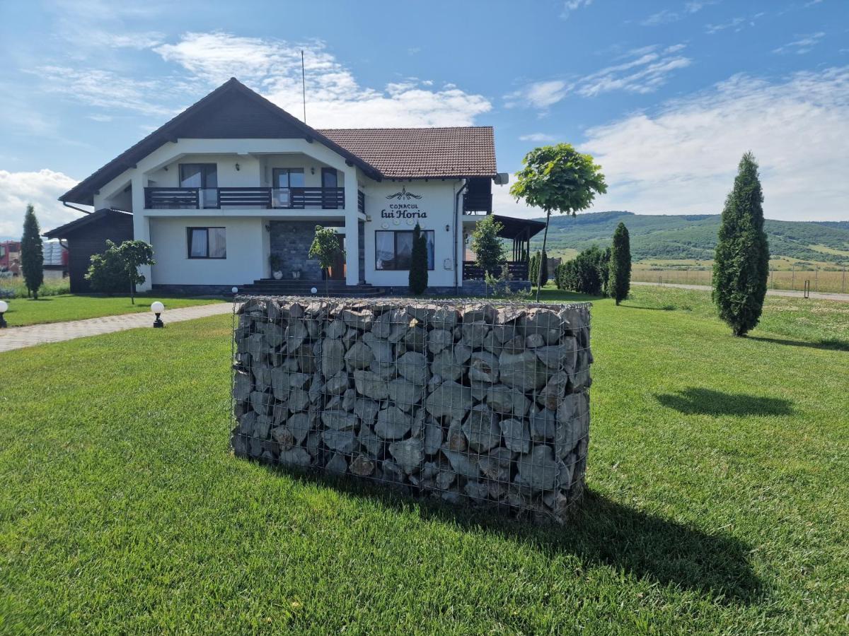 Pensiunea Conacul Lui Horia Bistriţa Dış mekan fotoğraf
