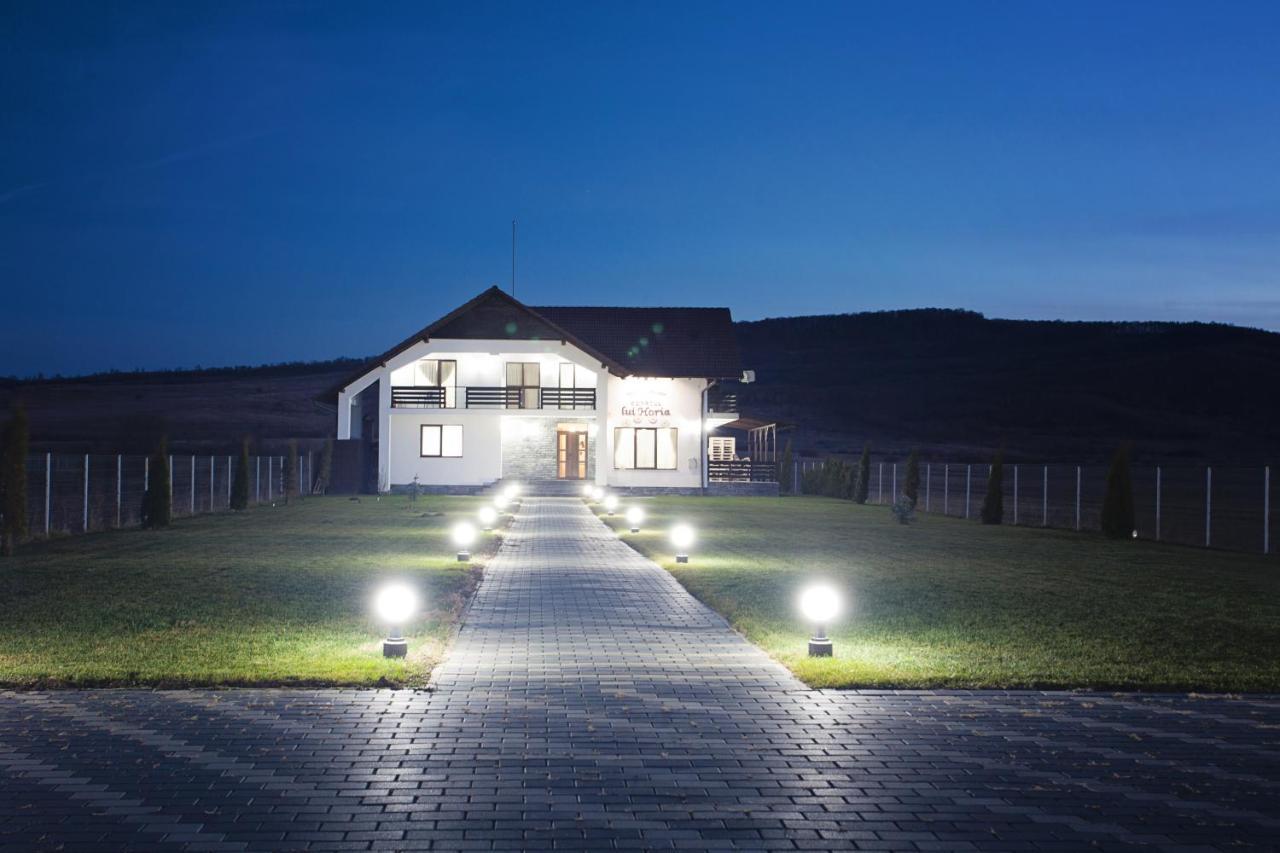 Pensiunea Conacul Lui Horia Bistriţa Dış mekan fotoğraf